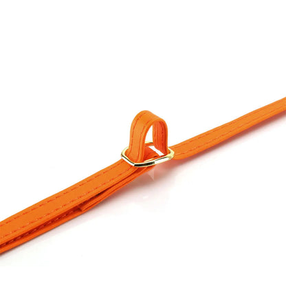 Orange strap with gold buckle on a white background